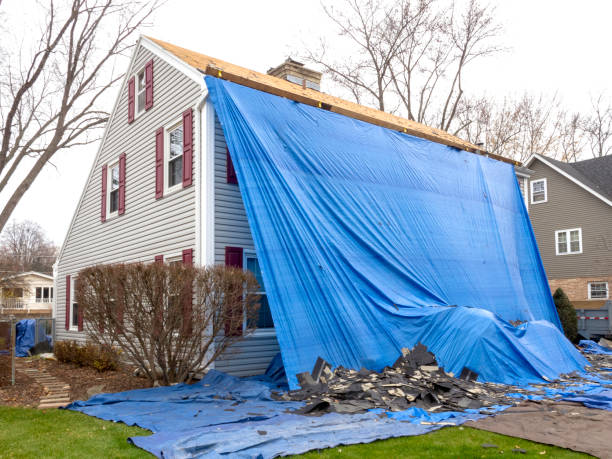 Best Wood Siding Installation  in Wade, MS