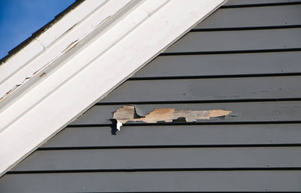 Storm Damage Siding Repair in Wade, MS