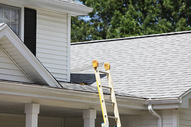 Affordable Siding Repair and Maintenance Services in Wade, MS